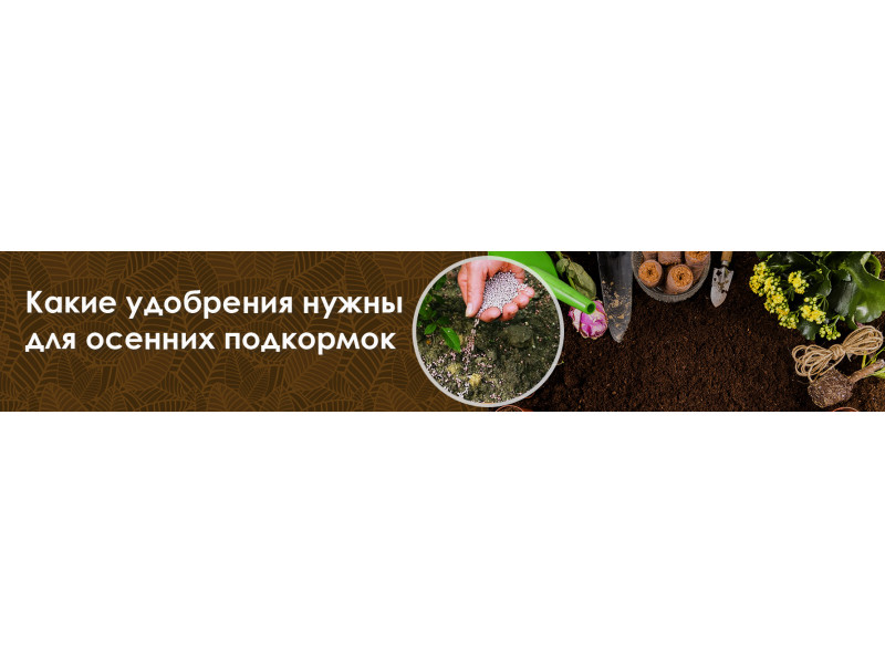 Які добрива потрібні для осінньої підгодівлі