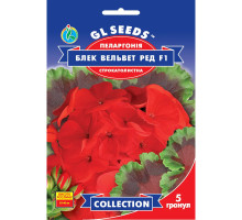 Семена Пеларгония Блэк Вельвет Ред F1 5 семян GL Seeds