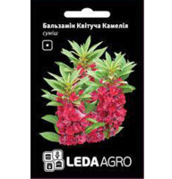 Насіння Бальзамін Квітуча Камелія суміш 0,5 г LedaAgro