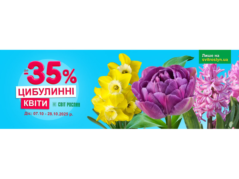 Знижка до -35% на цибулинні квіти – створіть клумбу своєї мрії
