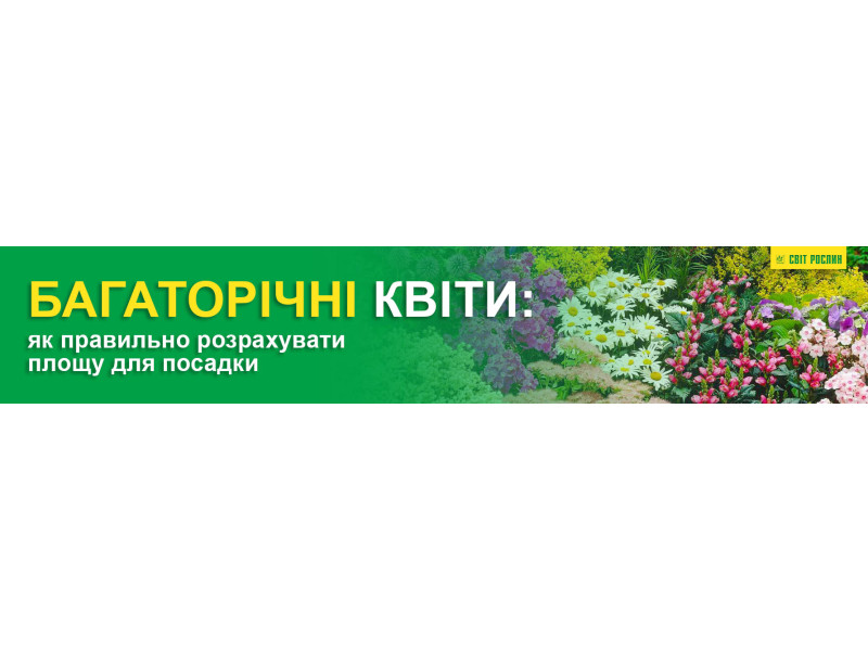 Багаторічні квіти: як правильно розрахувати площу для посадки