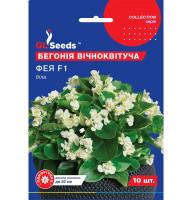 Насіння Бегонія Фея біла 10 нас GL Seeds 