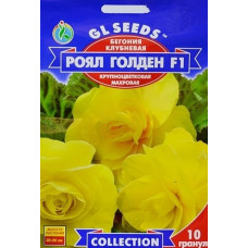 Бегония махровая Роял Голден 10 семян