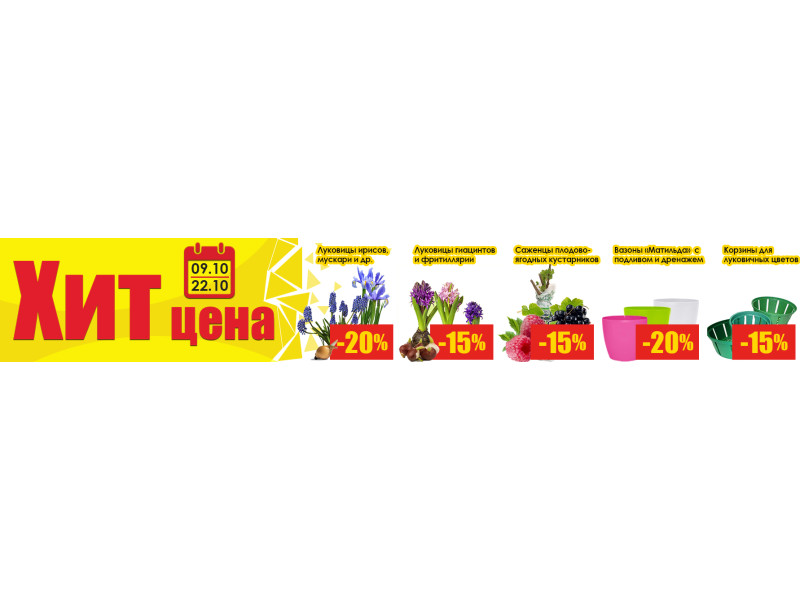 Знижки до -20% на актуальні товари сезону