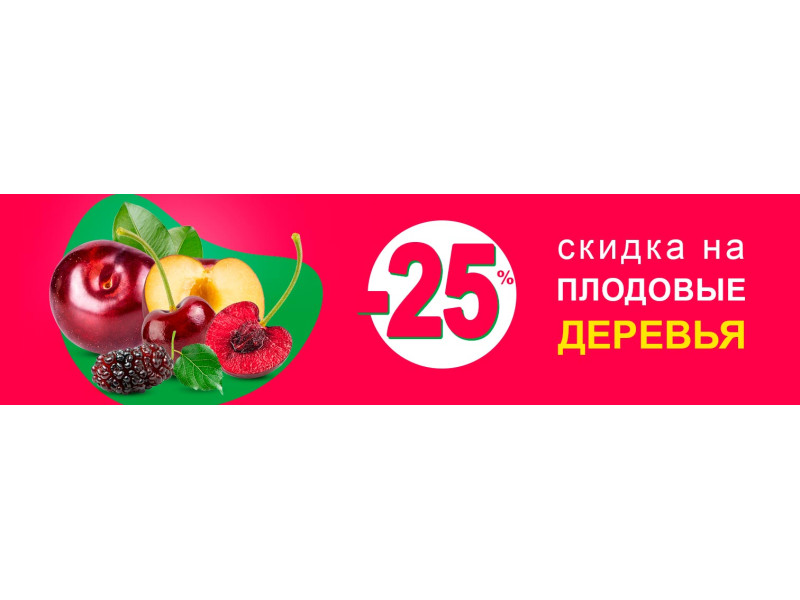 Поспішайте за знижкою -25% на саджанці плодових дерев