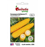Насіння кукурудзи Добриня F1 20 сем