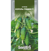 Насіння Огірок Король Грядки F1 10 шт Seedera