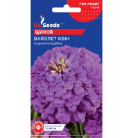 Насіння Цинія Вайолет Квін 0,5 г GL Seeds