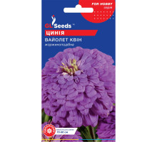 Семена Циния Вайолет Квин 0,5 г GL Seeds
