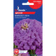 Насіння Цинія Вайолет Квін 0,5 г GL Seeds