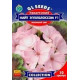 Пеларгонія Епплблоссом 10 шт