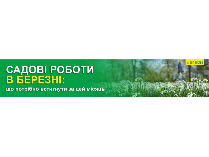 Садовые работы в марте - что нужно успеть за этот месяц