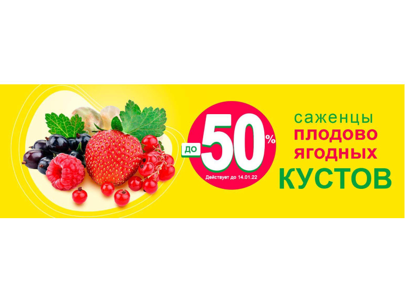 Розпродаж саджанців плодових чагарників до -50%