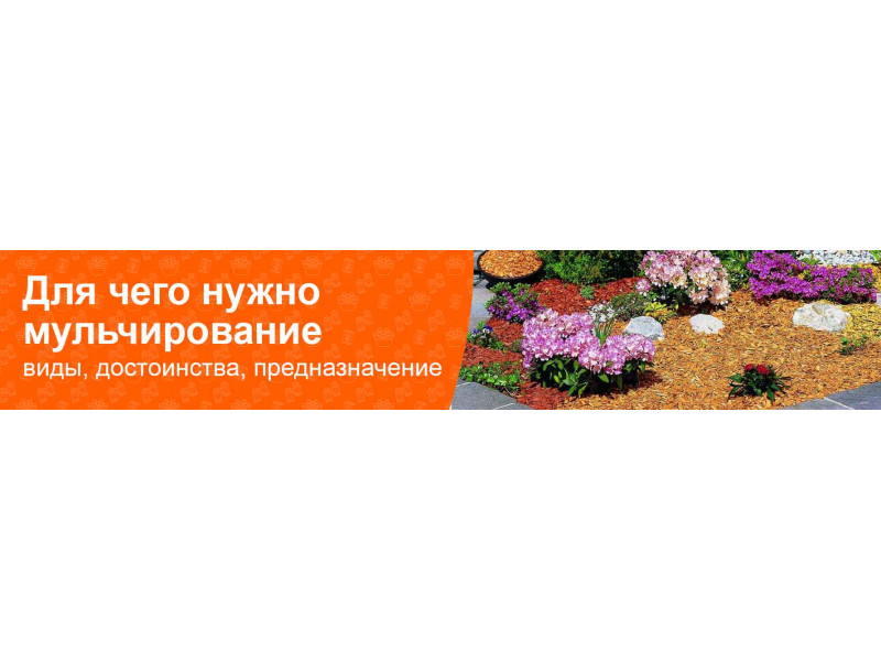 Для чего нужно мульчирование