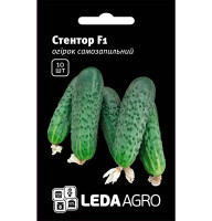 Насіння Огірок Стентор F1 10 насінин LedaAgro