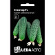Насіння Огірок Стентор F1 10 насінин LedaAgro