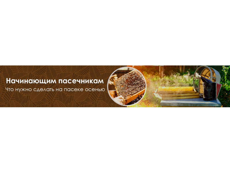 Бджолярам початківцям. Що потрібно зробити на пасіці восени