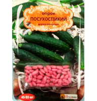 Семена огурцов Засухоустойчив 50 семян