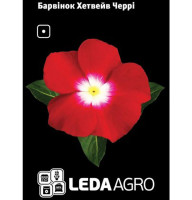 Барвінок Хетвейв Черрі червоний 10 шт Leda Agro