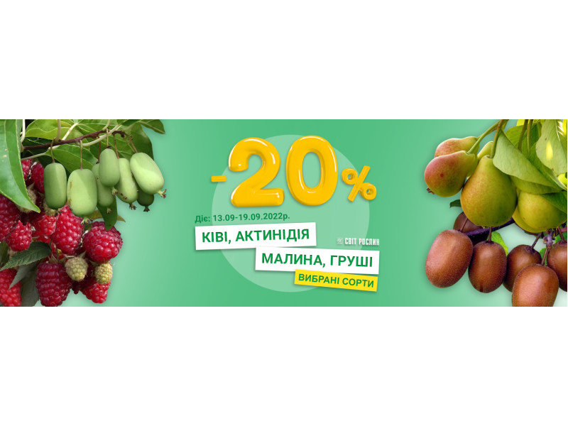 -20% на саджанці ківі, груш, актинідії та малини