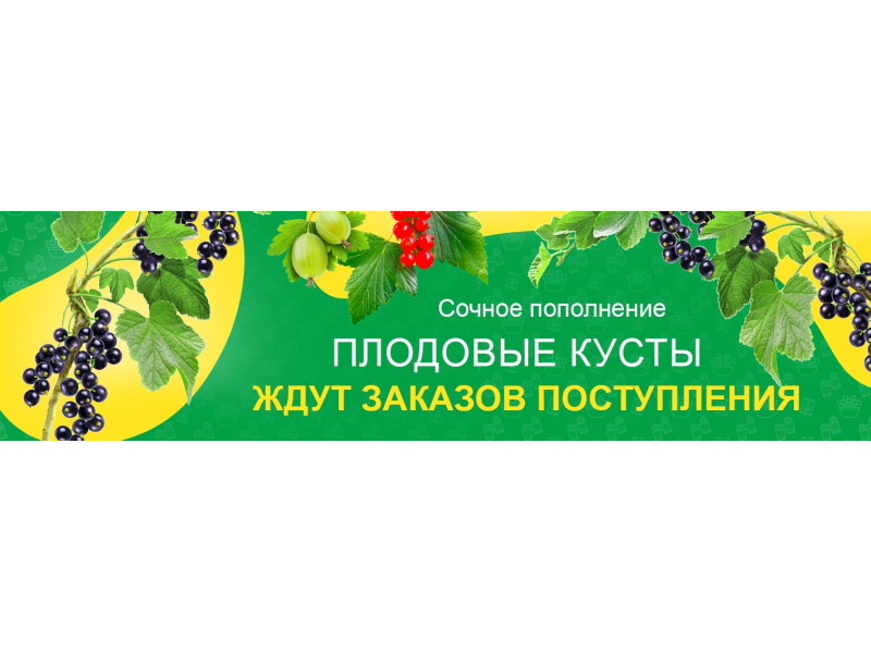 Соковите поповнення - замовляйте саджанці плодових кущів! 