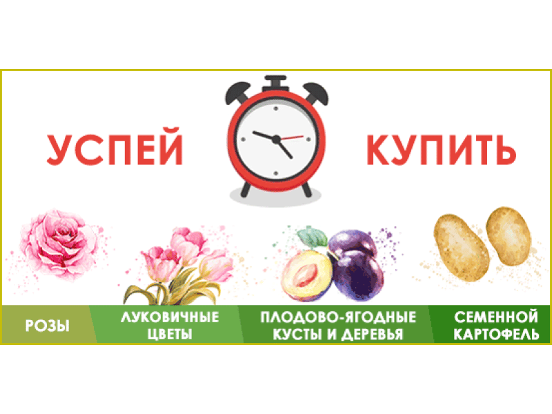 Встигніть зловити товари за привабливими цінами