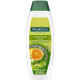 Шампунь Palmolive Naturals Свежесть и объем Цитрус 350 мл