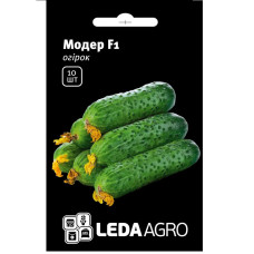 Насіння Огірок Модер F1 10 шт Leda Agro