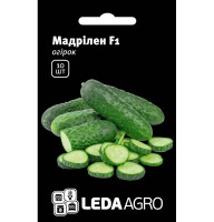 Насіння Огірок Мадрілен F1 10 насінин LedaAgro