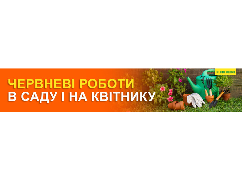 Июньские работы в саду и на цветнике