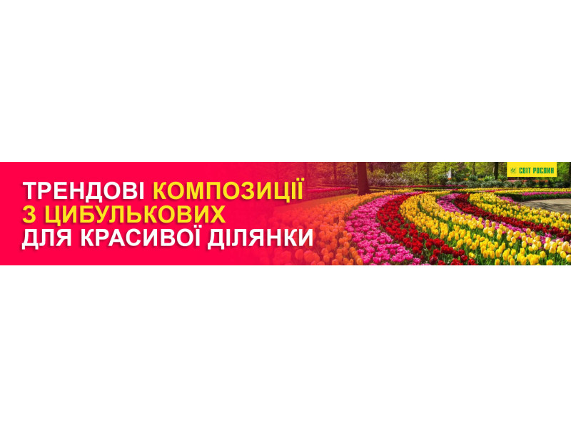 Трендовые композиции из луковичных для красивого участка