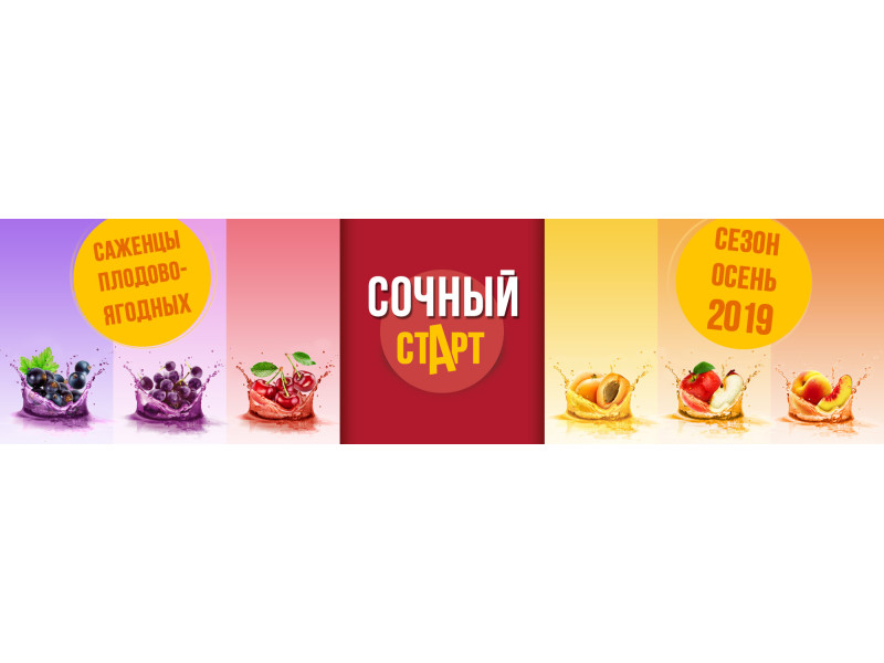 Щоб вдалий урожай плодово-ягідний зібрати – саджанці вже зараз треба замовляти