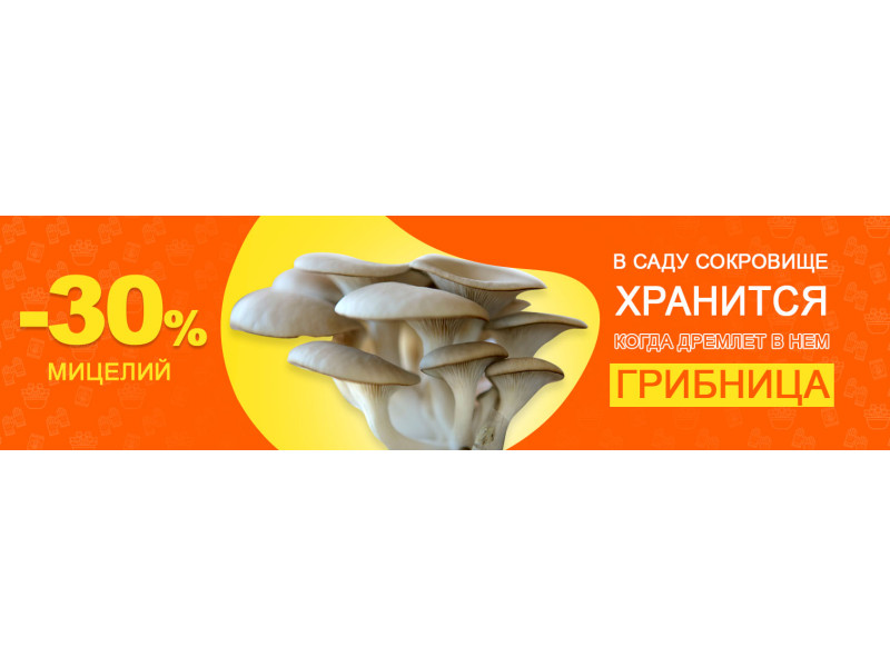 Знижка -30% на міцелій грибів