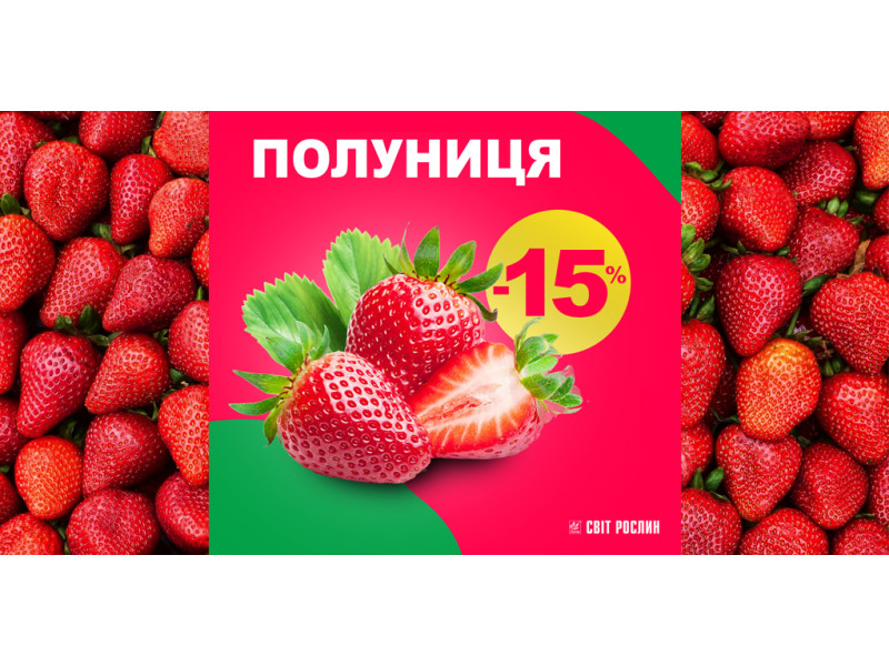 Саджанці полуниці зі знижкою -15%!