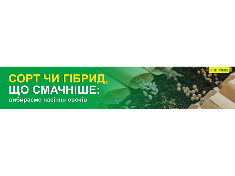 Сорт чи гібрид, що смачніше: вибираємо насіння овочів