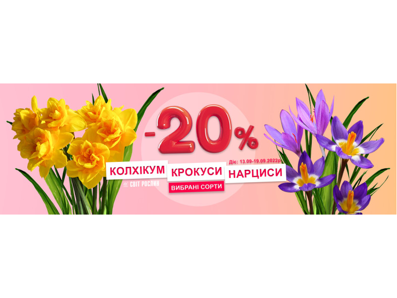 -20% на нарциси, крокуси та колхікум