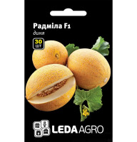 Семена Дыня Радмила F1 30 сем LedaAgro
