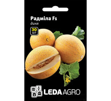 Семена Дыня Радмила F1 30 сем LedaAgro