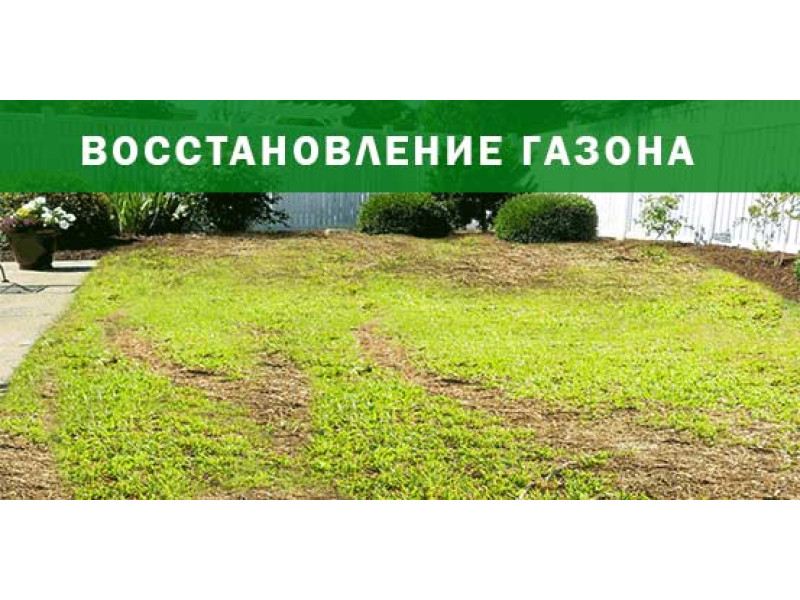 Восстановление газона