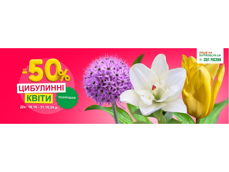 Луковичные цветы до -50%