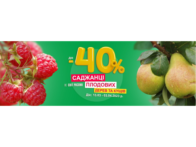 Акція! Знижка до -40% на саджанці плодових дерев та кущів