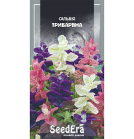 Насіння Сальвія трибарвна 0,2 г Seedera