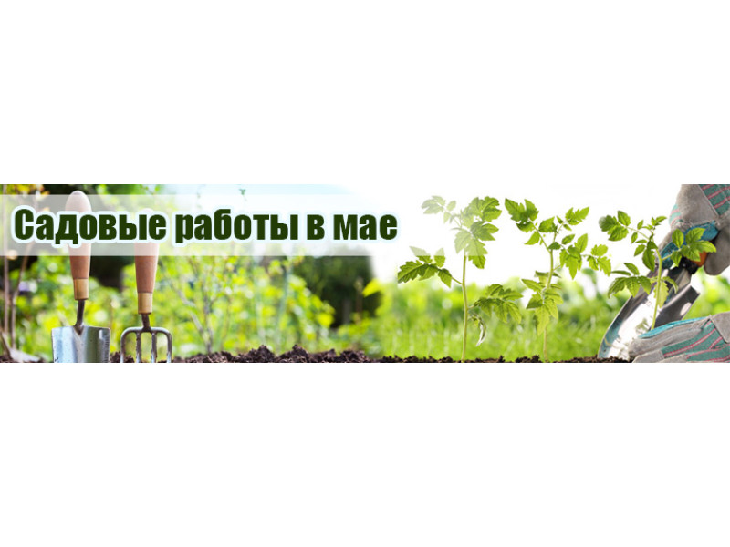 Огородные работы в мае