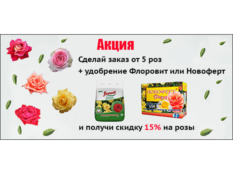 Акція. Знижка 15% на троянди.