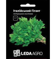 Насіння Петрушка Італійський Гігант 1 гр LedaAgro