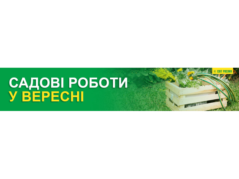 Садовые работы в сентябре