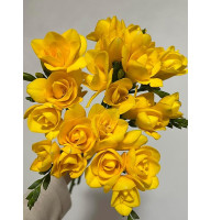 Фрезія Yellow повна 5+