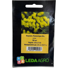 Семена Кермек (лимониум) Кис Елоу 50 семян LedaAgro