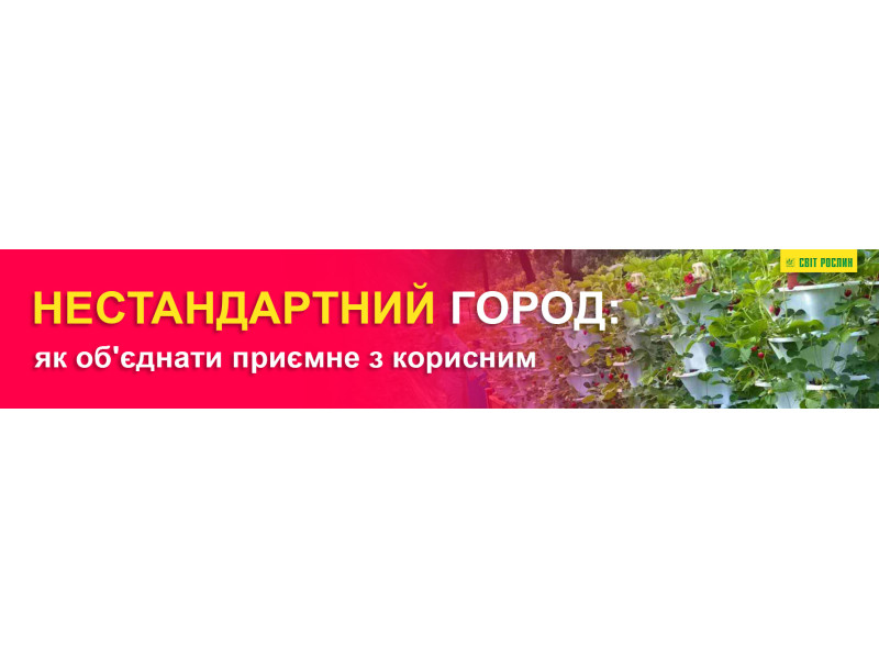 Нестандартный огород: как объединить приятное с полезным
