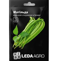 Семена Фасоль спаржевая Матильда 15 сем LedaAgro